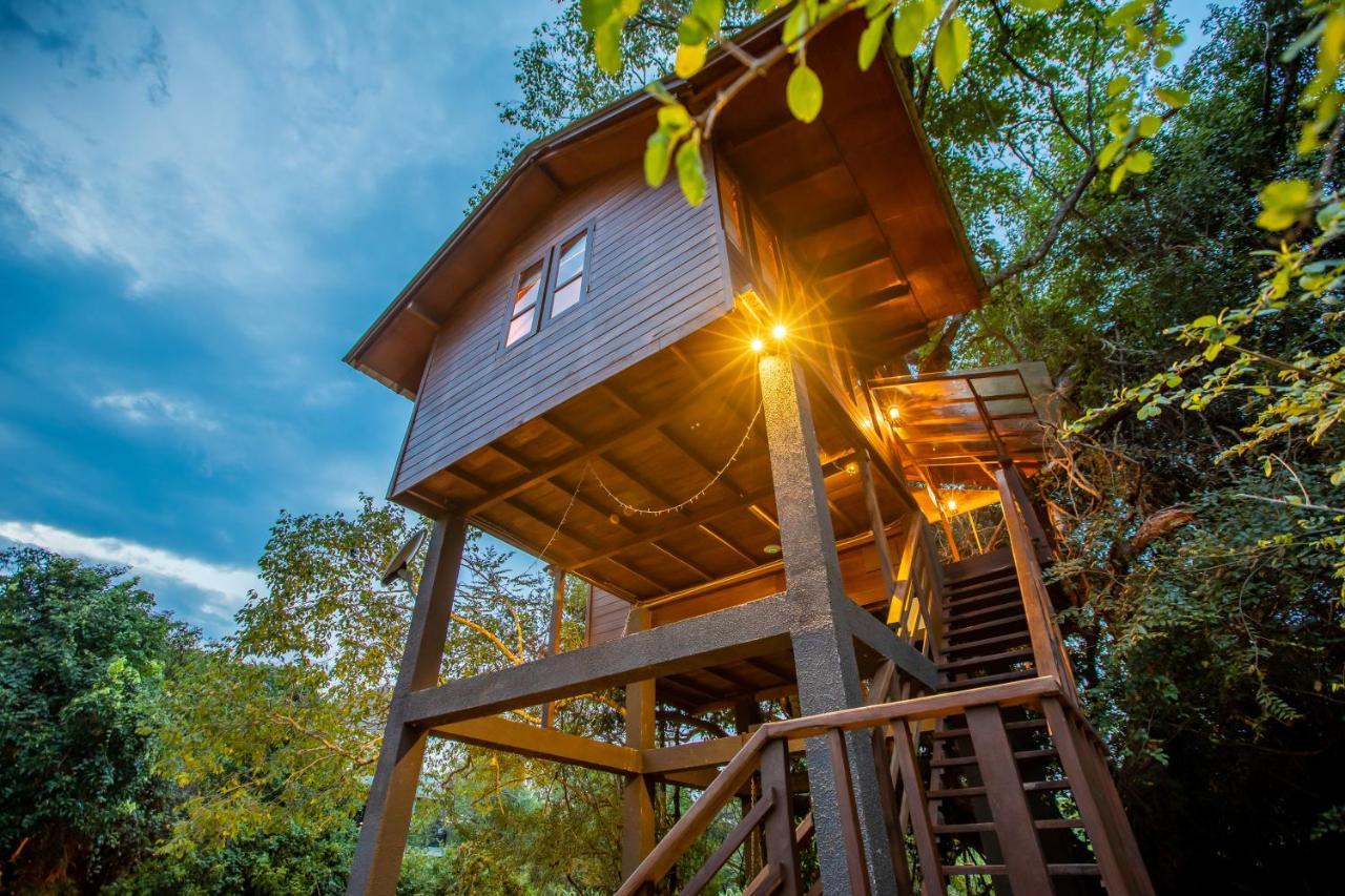 Sigiriya King'S Resort Extérieur photo