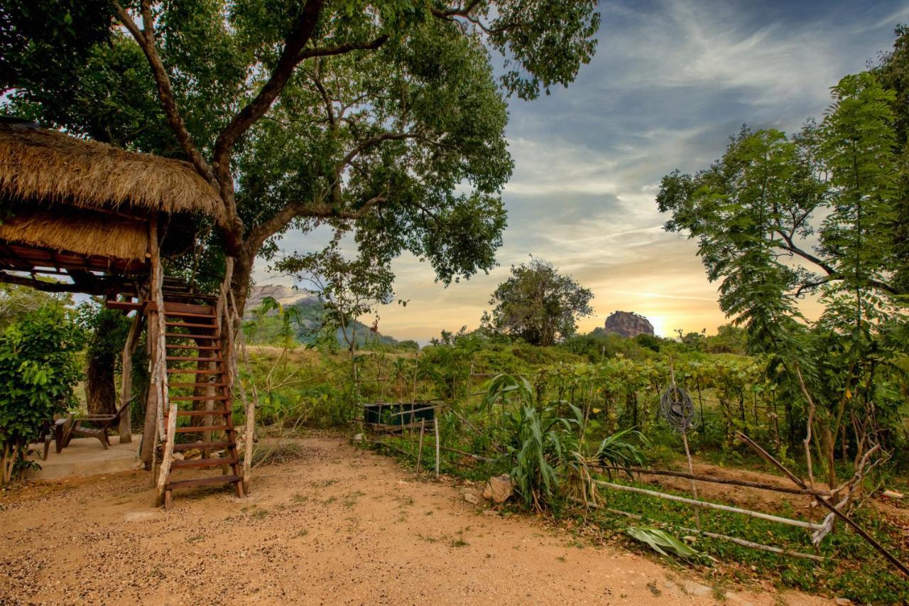 Sigiriya King'S Resort Extérieur photo