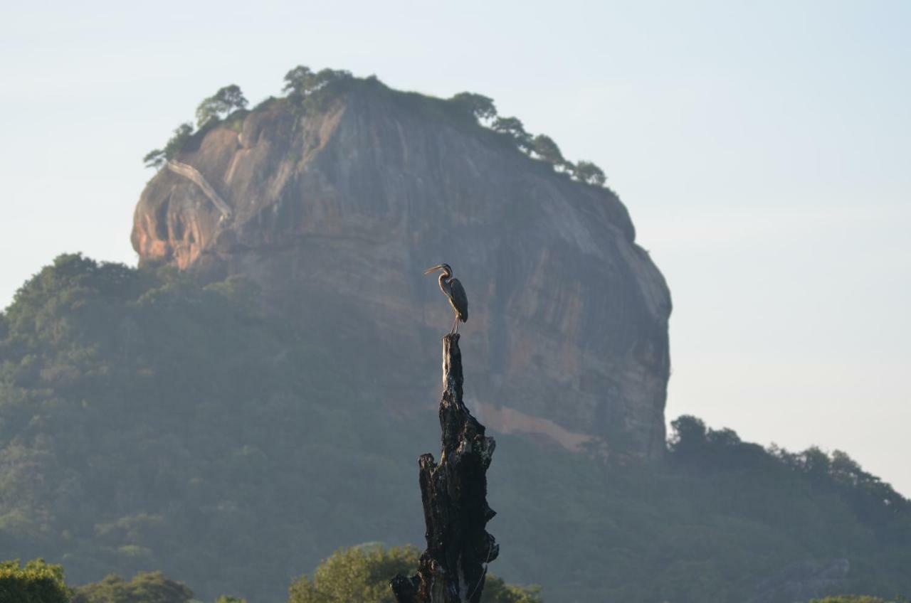 Sigiriya King'S Resort Extérieur photo