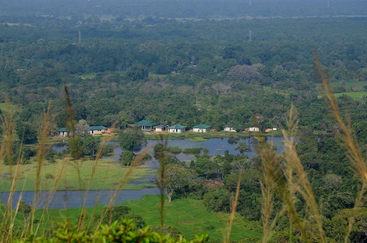 Sigiriya King'S Resort Extérieur photo