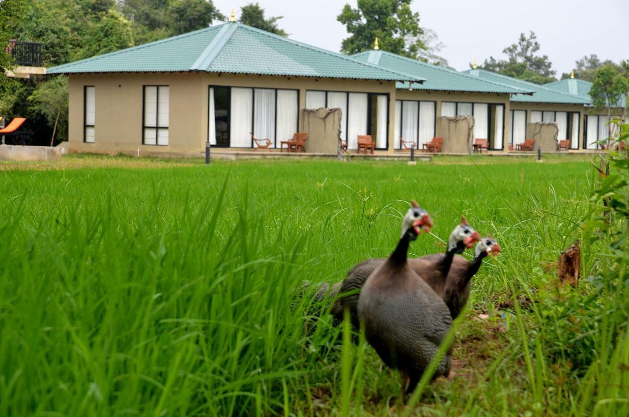Sigiriya King'S Resort Extérieur photo
