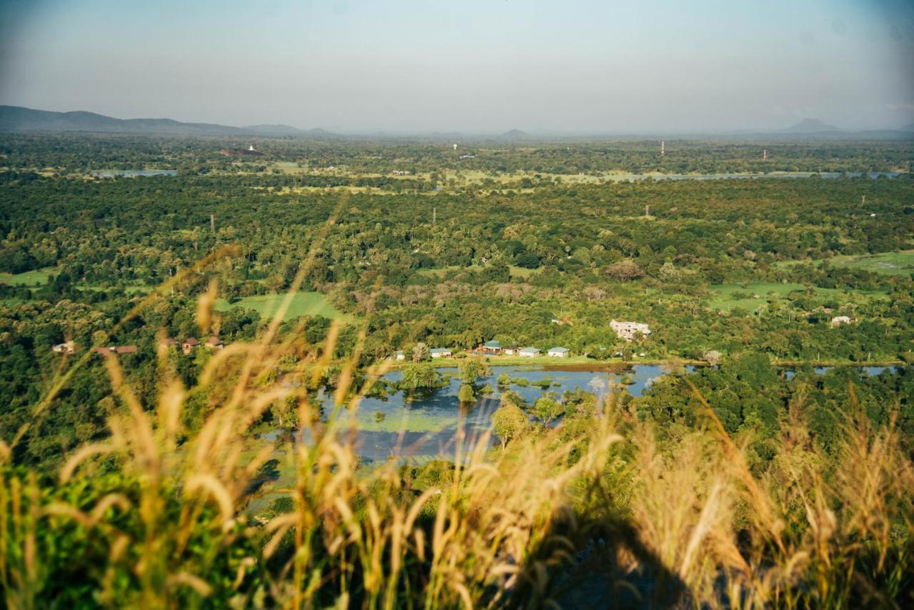 Sigiriya King'S Resort Extérieur photo